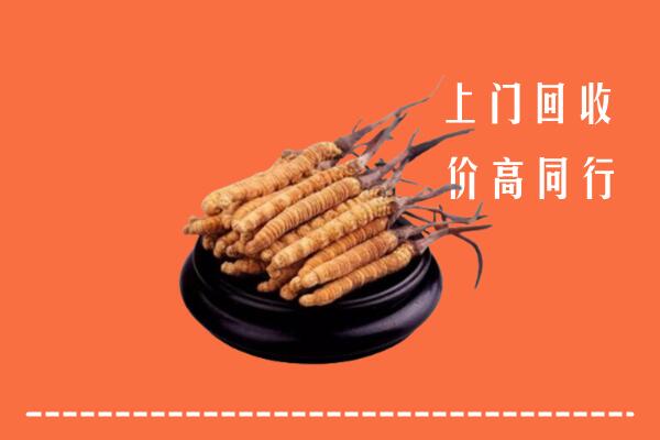 高价求购：隆德县回收散虫草