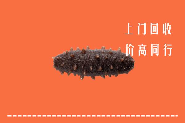 高价求购：隆德县回收海参